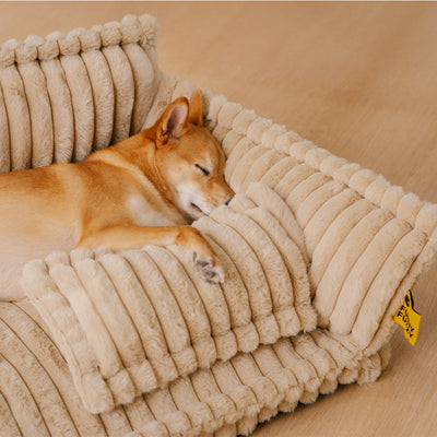 Lit Orthopédique pour Chien CaniSofa – Soutien Articulaire, Housse Lavable, Repose-Tête Confortable
