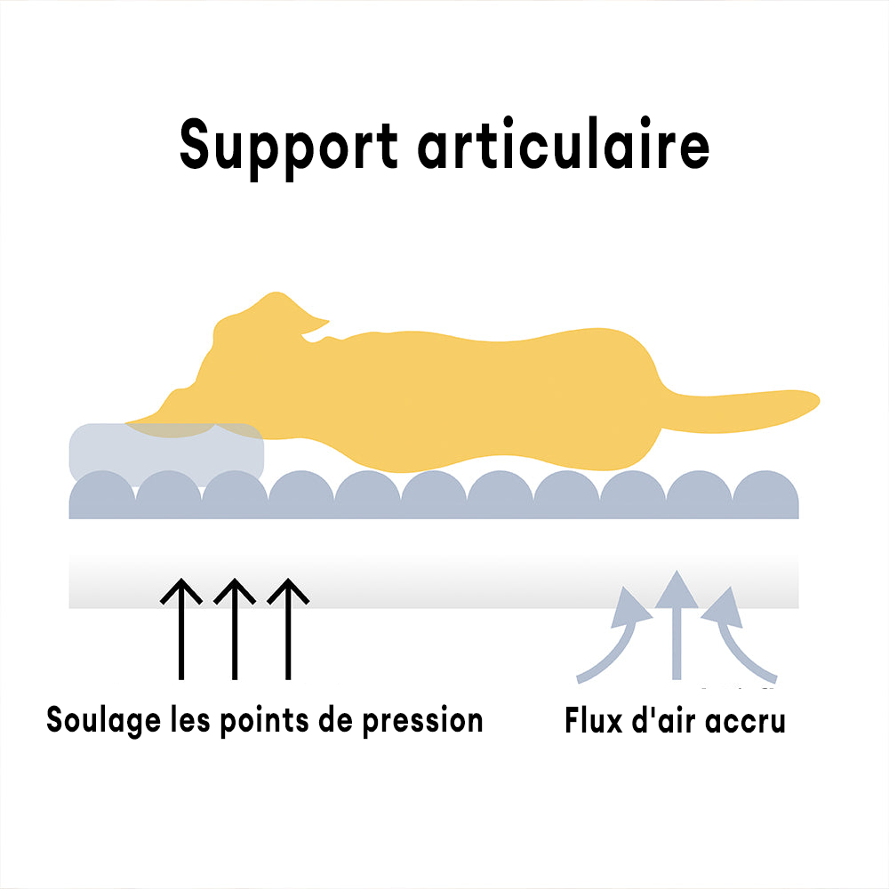 Lit Orthopédique pour Chien CaniSofa – Soutien Articulaire, Housse Lavable, Repose-Tête Confortable