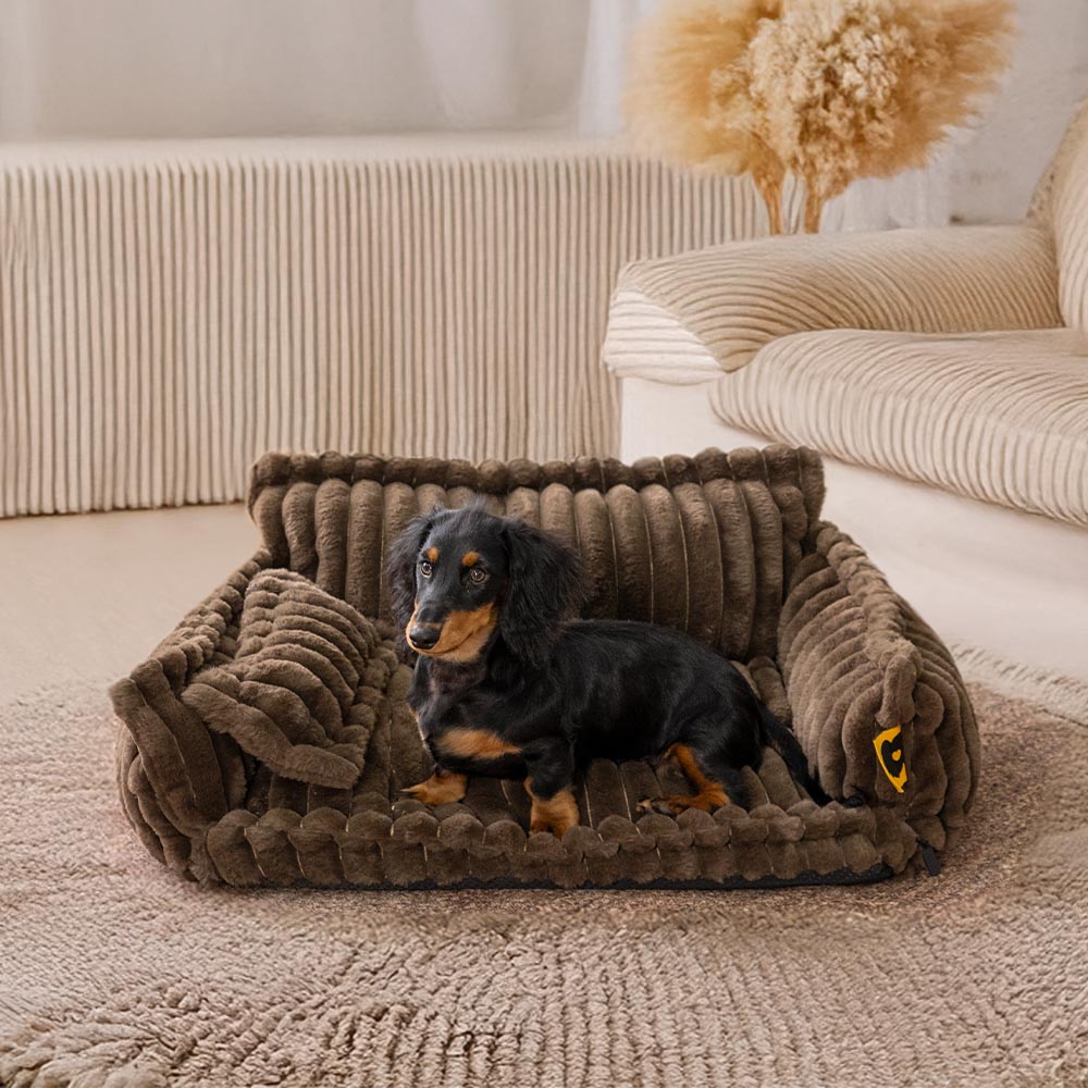 Lit Orthopédique pour Chien CaniSofa – Soutien Articulaire, Housse Lavable, Repose-Tête Confortable