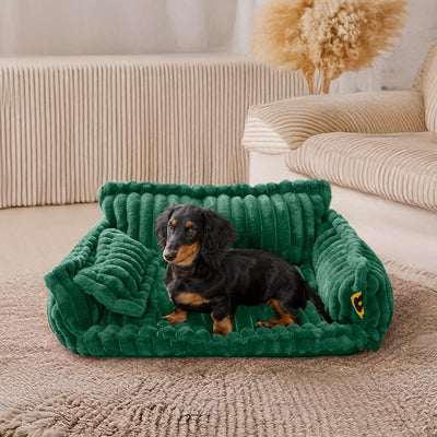 Lit Orthopédique pour Chien CaniSofa – Soutien Articulaire, Housse Lavable, Repose-Tête Confortable