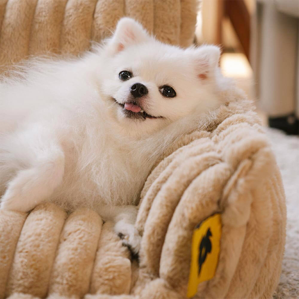 Lit Orthopédique pour Chien CaniSofa – Soutien Articulaire, Housse Lavable, Repose-Tête Confortable