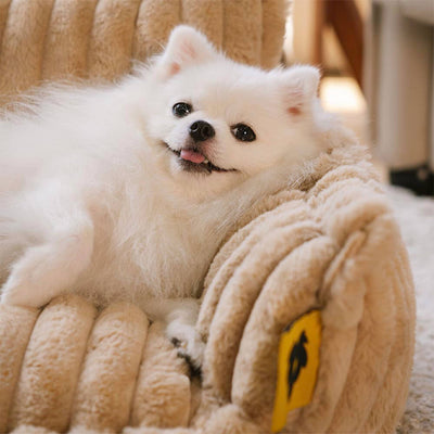 Lit Orthopédique pour Chien CaniSofa – Soutien Articulaire, Housse Lavable, Repose-Tête Confortable