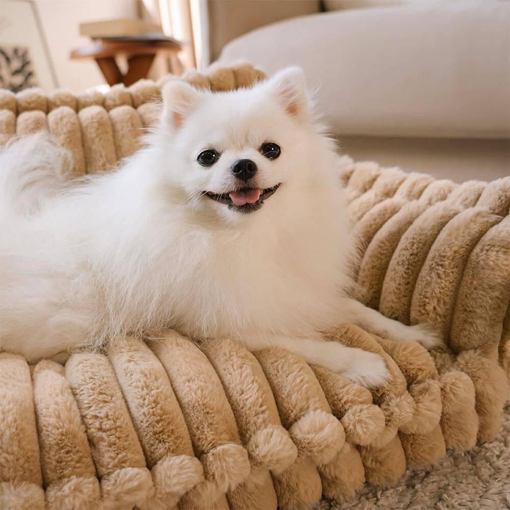 Lit Orthopédique pour Chien CaniSofa – Soutien Articulaire, Housse Lavable, Repose-Tête Confortable