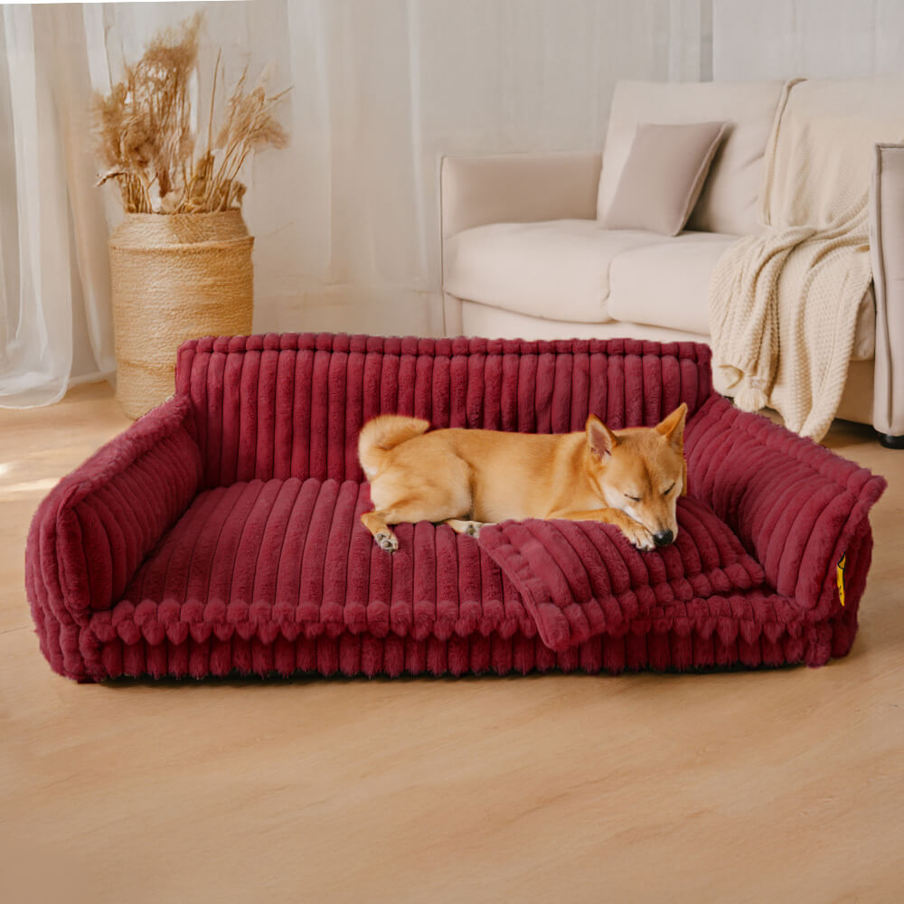 Lit Orthopédique pour Chien CaniSofa – Soutien Articulaire, Housse Lavable, Repose-Tête Confortable