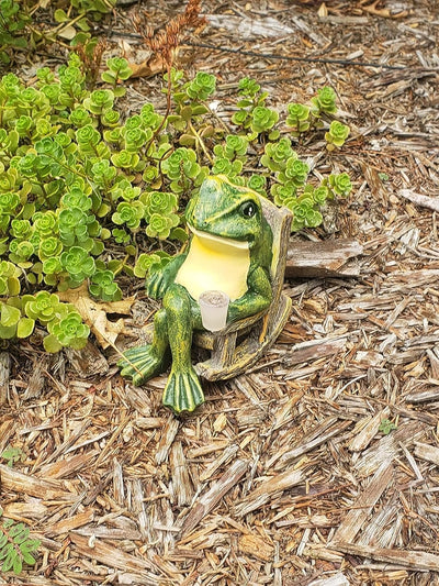 Statue de Grenouille Lumineuse pour Jardin - Décoration Extérieure Magique