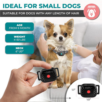 Collier Anti-Aboiement PetSilence – Solution Douce et Efficace pour Petits Chiens
