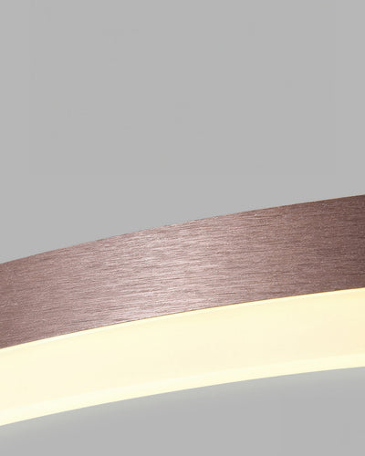 Plafonnier Éléphant en Anneau LED - Luminaire Moderne Design Géométrique avec Éclairage Économe en Énergie