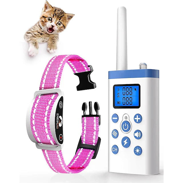 Collier de Dressage pour Chat - PurrfectTrain