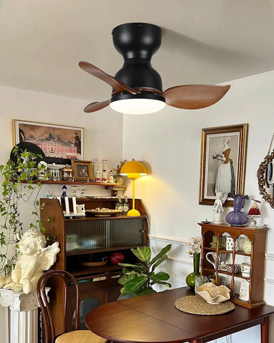 Trailblazer 18 Lumière du ventilateur de plafond