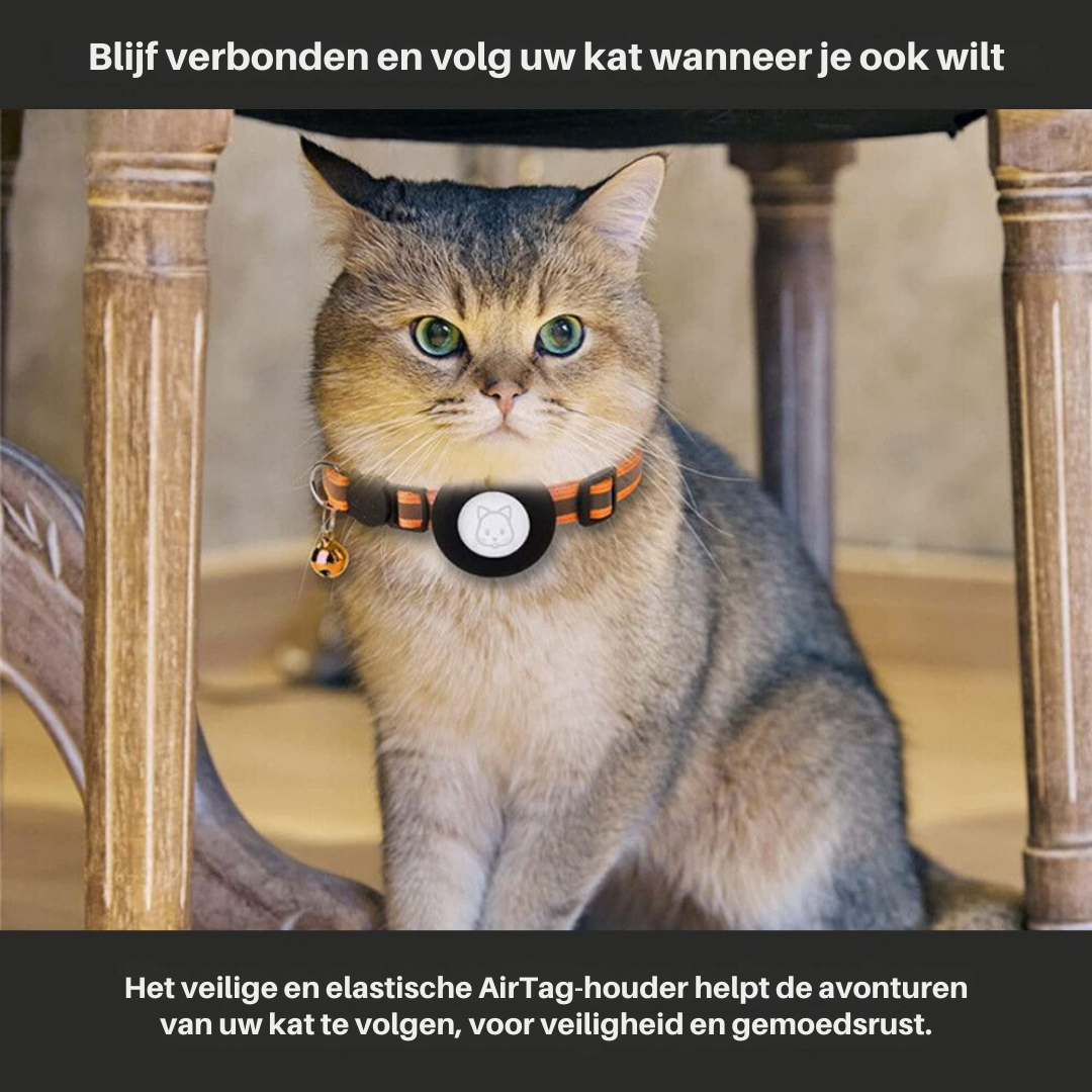 Collier GPS Réfléchissant pour Chat – Sécurité Nocturne avec Fermeture Sécurisée
