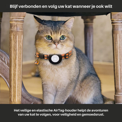 Collier GPS Réfléchissant pour Chat – Sécurité Nocturne avec Fermeture Sécurisée